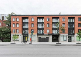 450 Rue St-Antoine E. #308 Ville-Marie Montréal, 1 Bedroom Bedrooms, ,1 BathroomBathrooms,Apartment,For Sale,450 Rue St-Antoine E. #308 Ville-Marie Montréal , ,1013